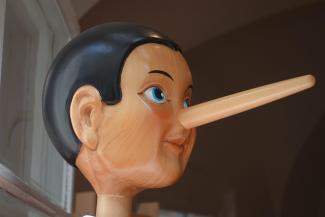 pinocchio liar defamation nonce allegation solicitors